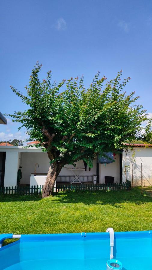 House With Pool And Garden In Esmoriz Near Porto Villa Exteriör bild